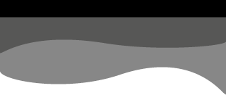 فرم سفارش