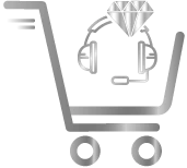 Silver Support <span class='h4-size title-extension opacity9'>for v-User Robotic Products</span>