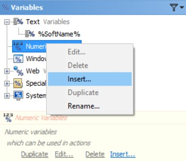 Insert Numeric Variables in the Editor Application