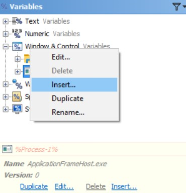 Insert Window & Control Variables in the Editor Application