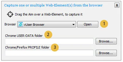 Insert Web Variables in the Editor Application