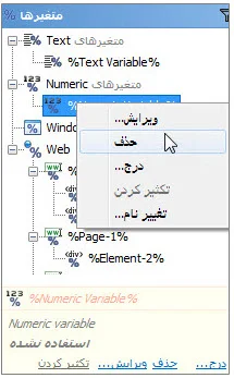 منوی حذف متغیر Numeric در برنامه ویراستار