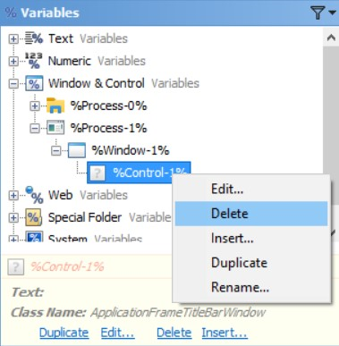 Delete Window & Control Variables in the Editor Application