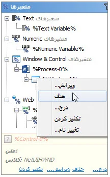 منوی حذف متغیر Window & Control در برنامه ویراستار