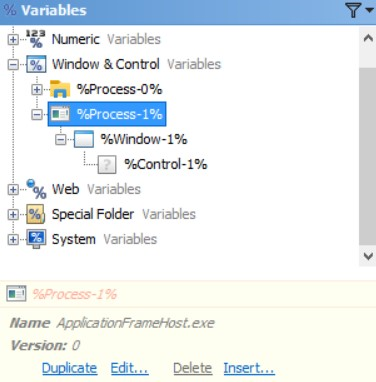 Window & Control Variables in the Editor Application