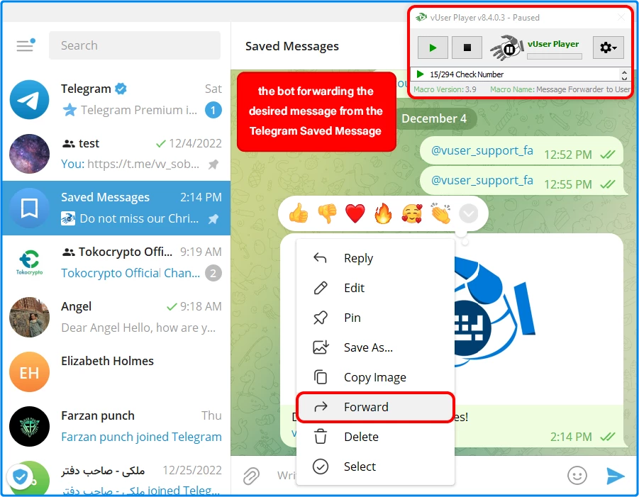 Telegram Bulk Sender bot