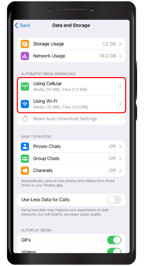 Check on the Data Usage in Telegram
