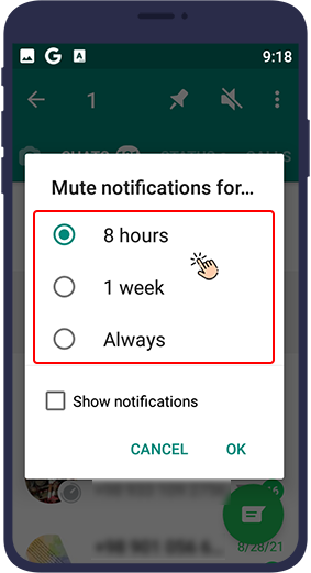 Mute Contacts or Groups on WhatsApp