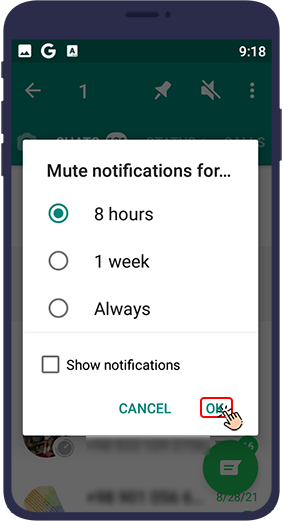 Mute Contacts or Groups on WhatsApp