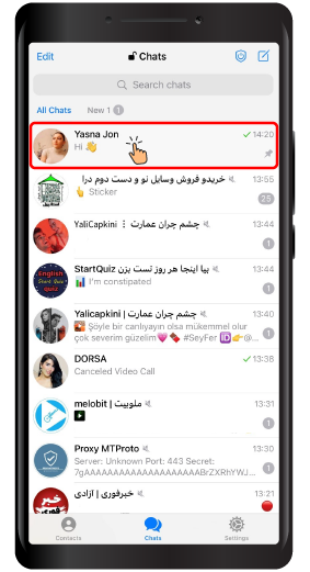Pin Chats in Telegram