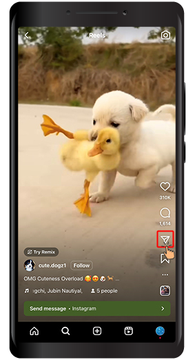 How to Share an Instagram Post to Your Story