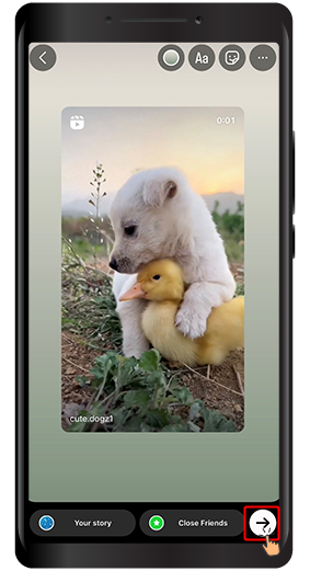 How to Share an Instagram Post to Your Story