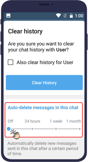 telegram auto delete message