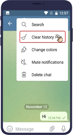 telegram auto delete message