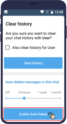 telegram auto delete message