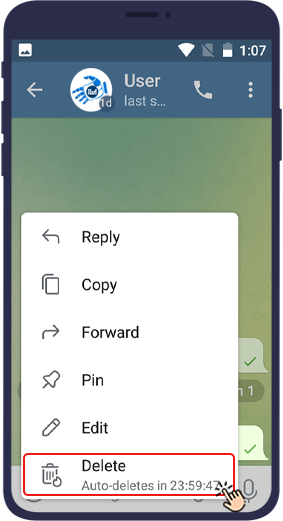 telegram auto delete message