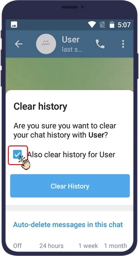 روش دوم: نحوه پاک کردن پیام در تلگرام با استفاده از Clear History